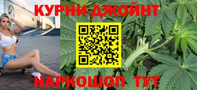 гидра Пушкино