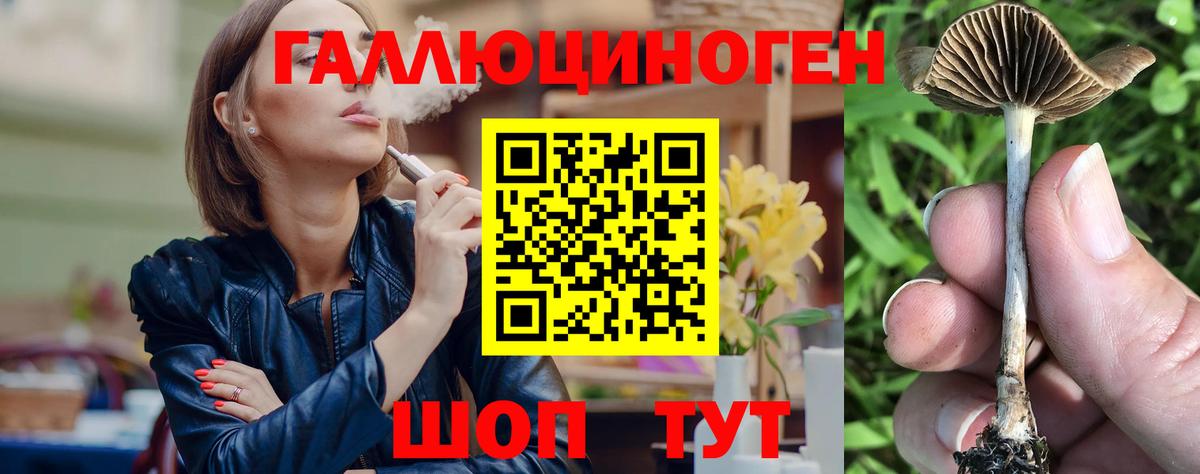 Псилоцибиновые грибы ЛСД Удомля
