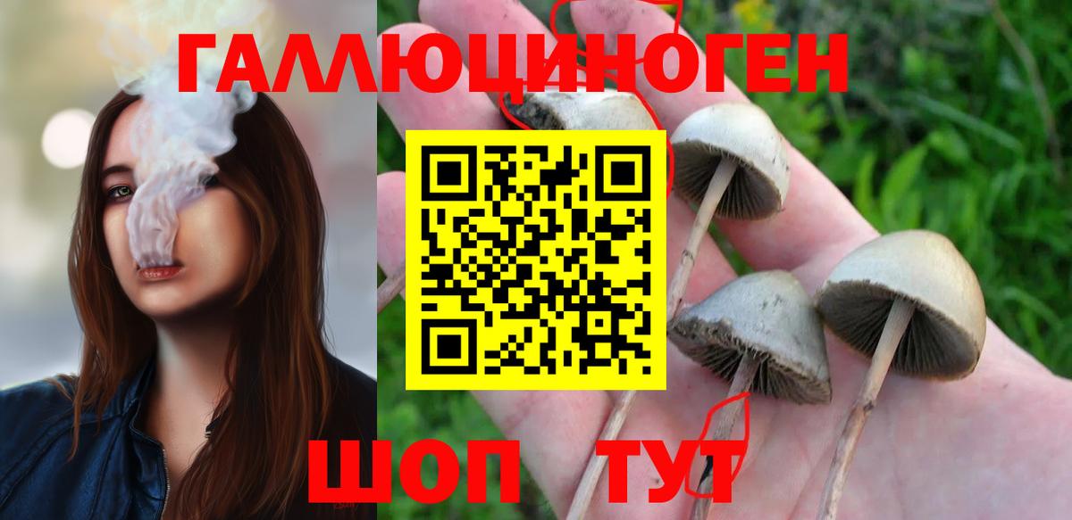 Галлюциногенные грибы мухоморы  Псилоцибиновые грибы Magic Shrooms  Вход с VPN  Удомля 